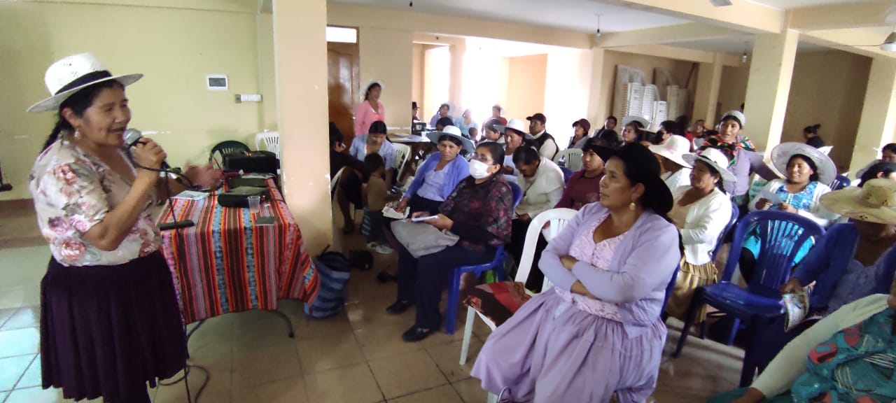 Bartolinas de Cochabamba participan del Taller sobre Descolonizacion, Despatriarcalizacion y la Ley No. 045