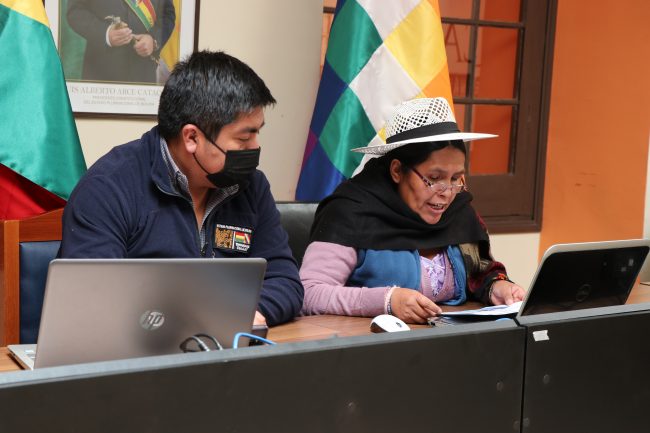 Ministerio de Culturas Descolonización y Despatriarcalización