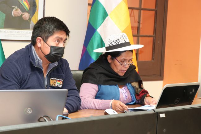 Ministerio de Culturas Descolonización y Despatriarcalización