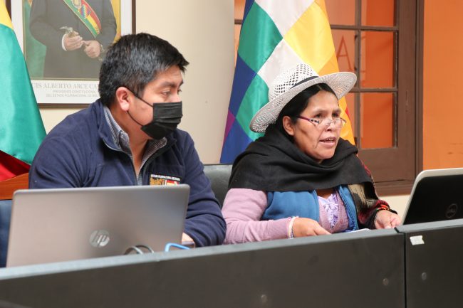 Ministerio de Culturas Descolonización y Despatriarcalización