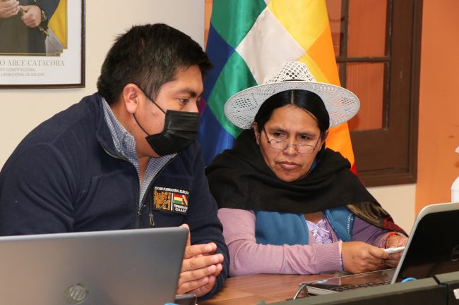 Ministerio de Culturas Descolonización y Despatriarcalización