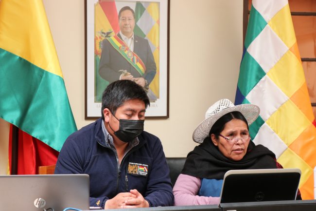 Ministerio de Culturas Descolonización y Despatriarcalización