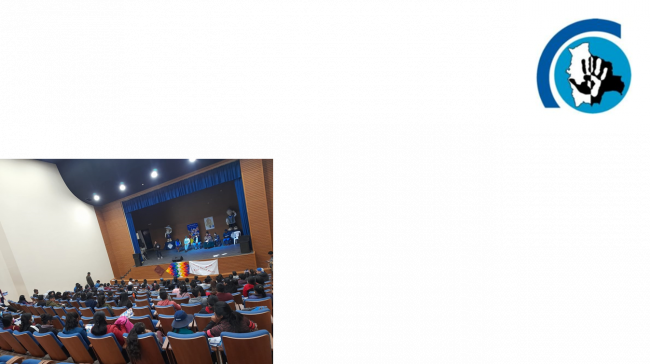 Ministerio de Culturas Descolonización y Despatriarcalización