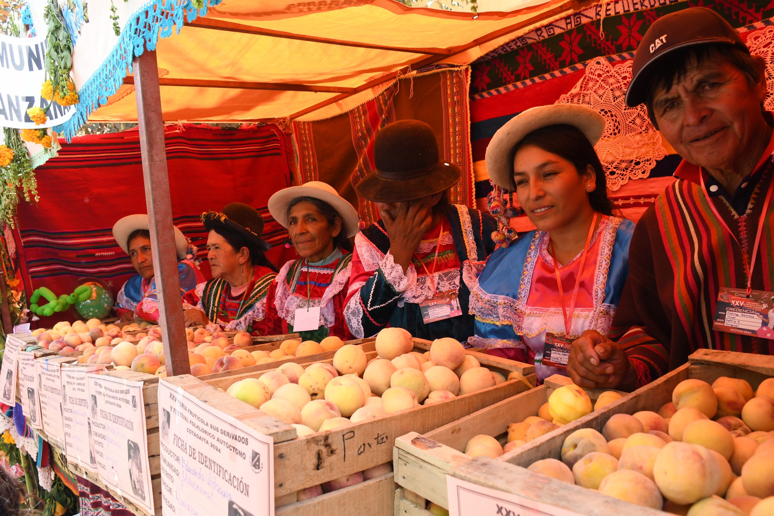 Cotagaita se lució con la exposición de la producción frutícola y sus danzas autóctonas